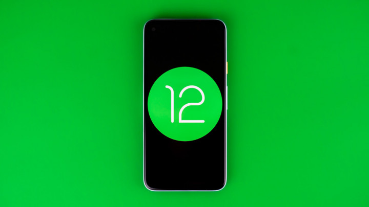 android-12-logo_1.jpg
