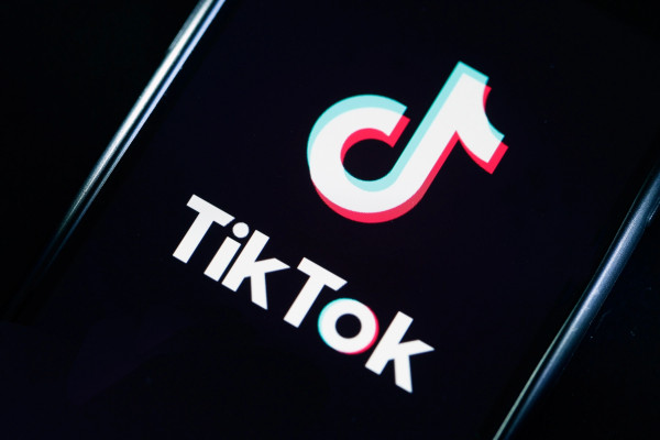 TikTok проведет интернет в деревню ради студента, который ловил сеть с березы
